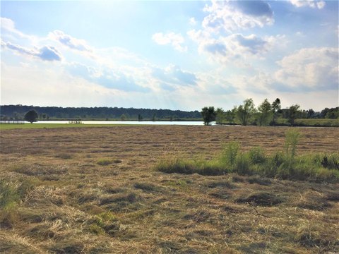Residential Land Near Mound Lake