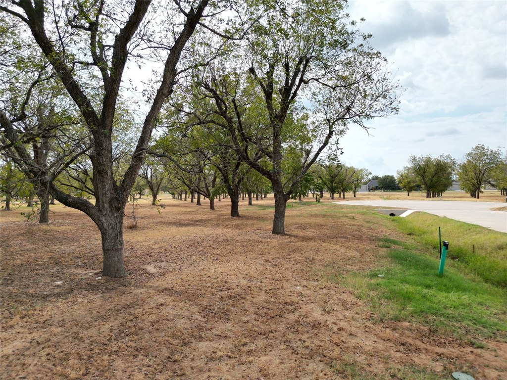 Picture 16