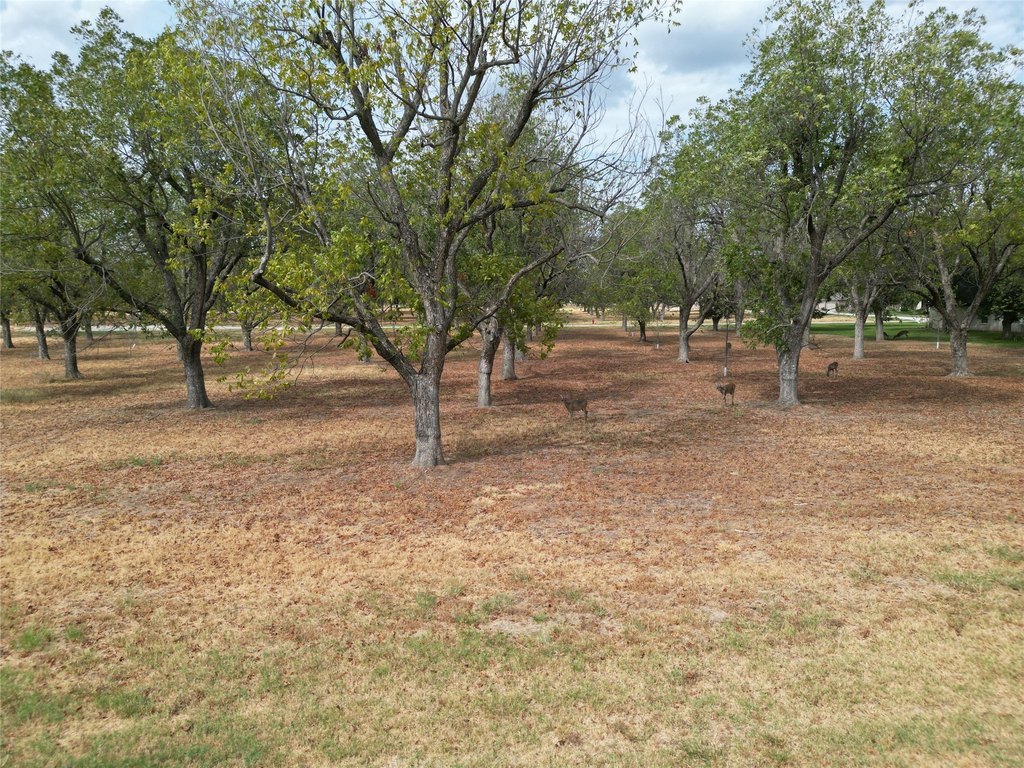 Picture 12