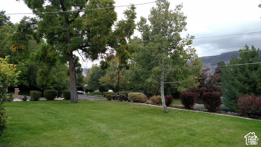 Picture 14