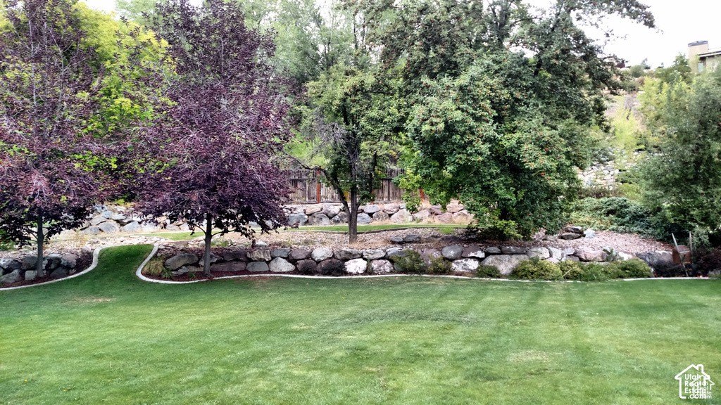 Picture 19