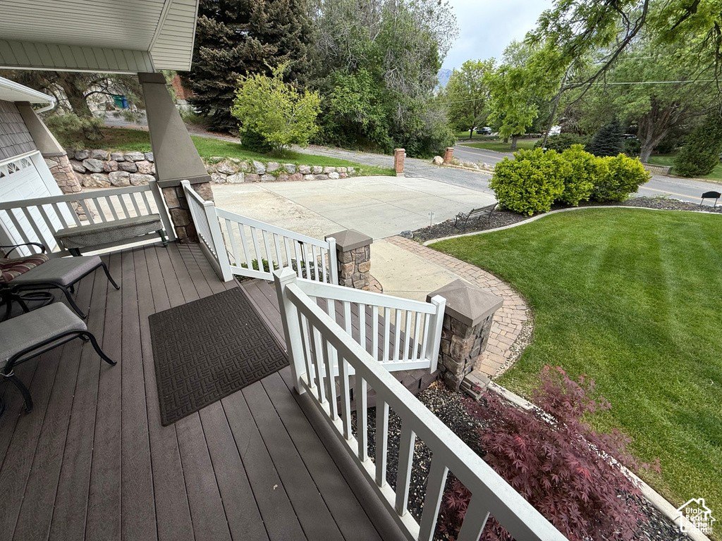 Picture 6