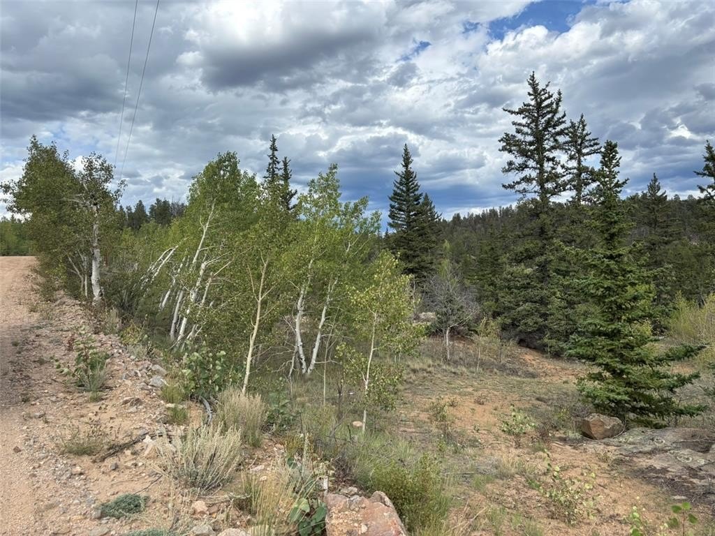 Picture 16