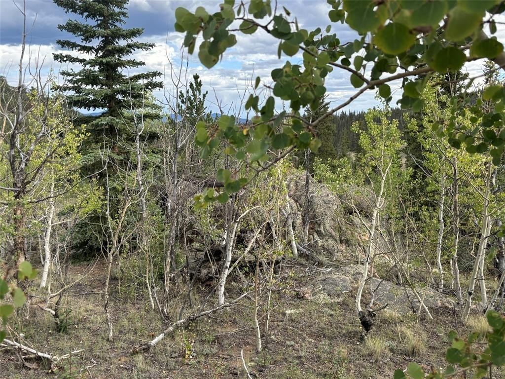Picture 19