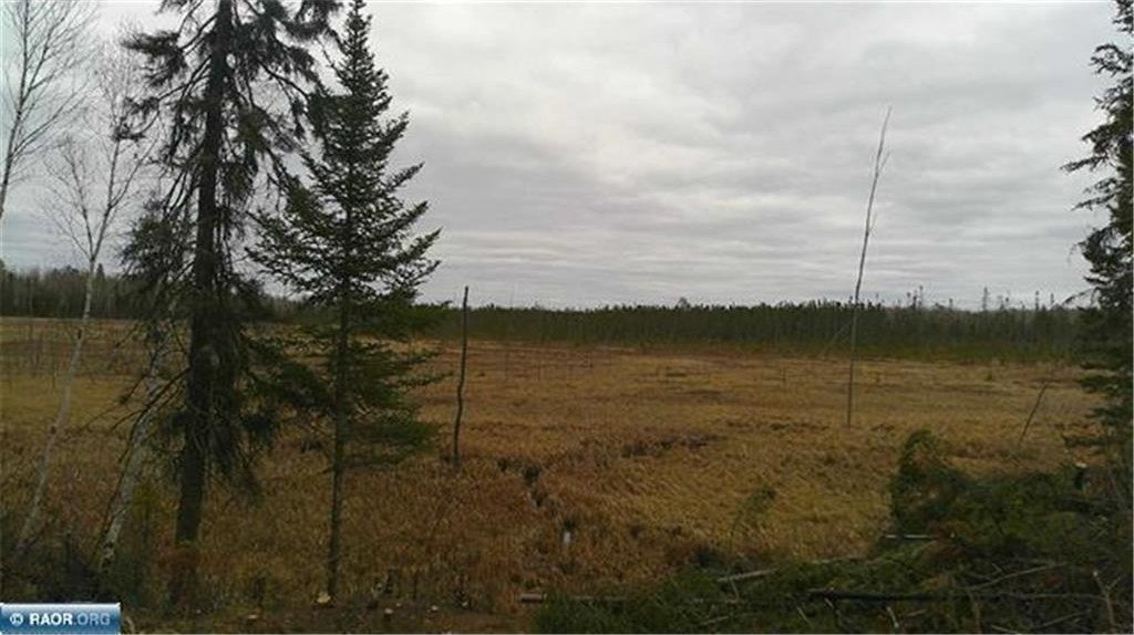 Picture 14