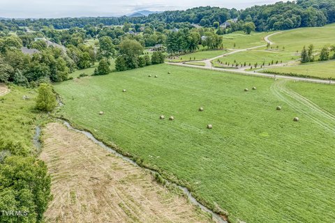 Spacious Homesite in Johnson City