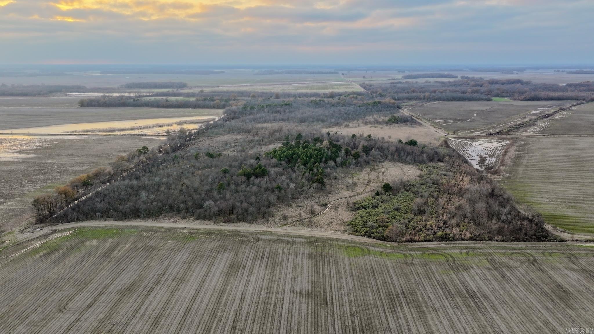 Arkansas Delta Hunting/Recreation Land