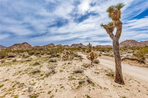 Joshua Tree Buildable Corner Lot