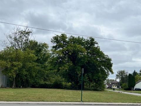 Detroit Land Infill Project Opportunity