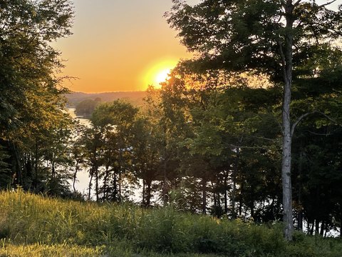 Land, Cadiz, KY
