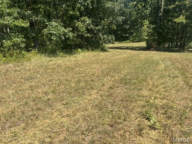 Picture 15