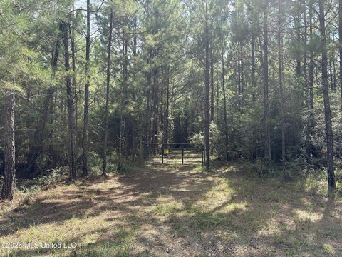 Hunting Land With Cabin