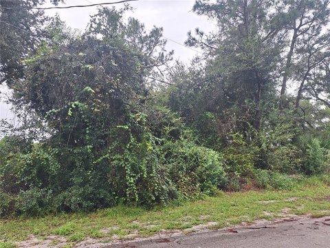 Land, DELTONA, FL