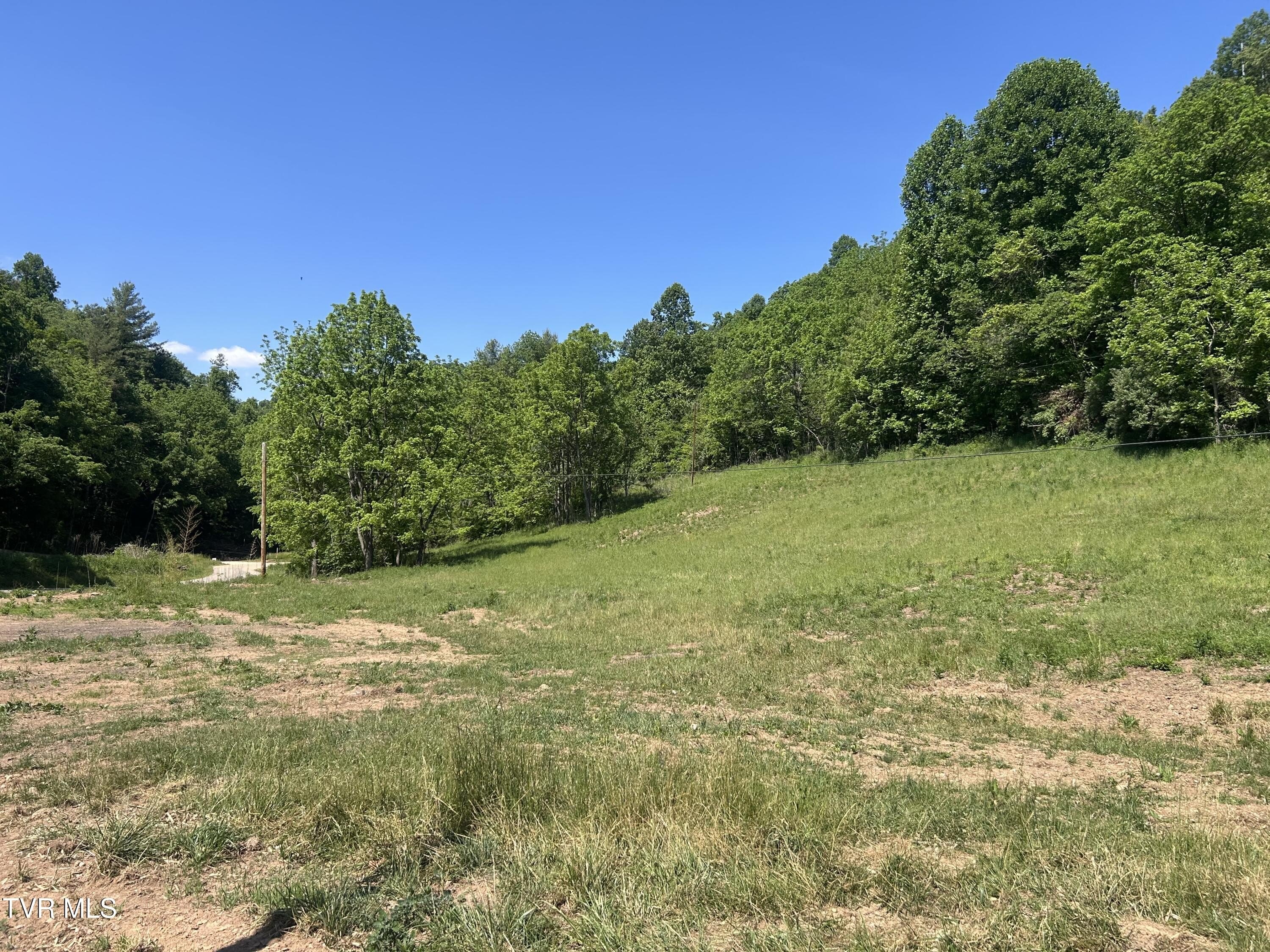 34 Acres in Butler, TN