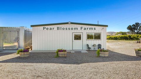 Established Orchard and Food Production Business