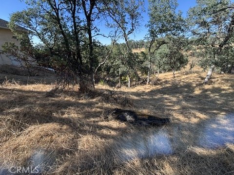 LAND - Cottonwood, CA