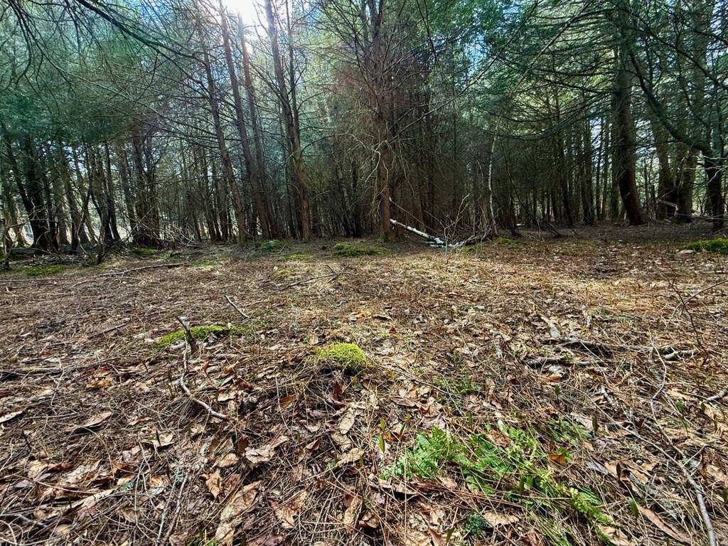 Picture 19