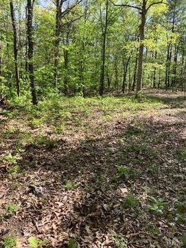 Land, Fredericktown, MO