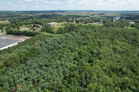 Wooded Land Parcel in West Liberty