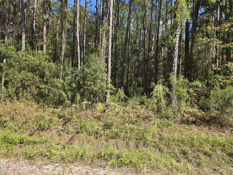 Jacksonville Land For Sale