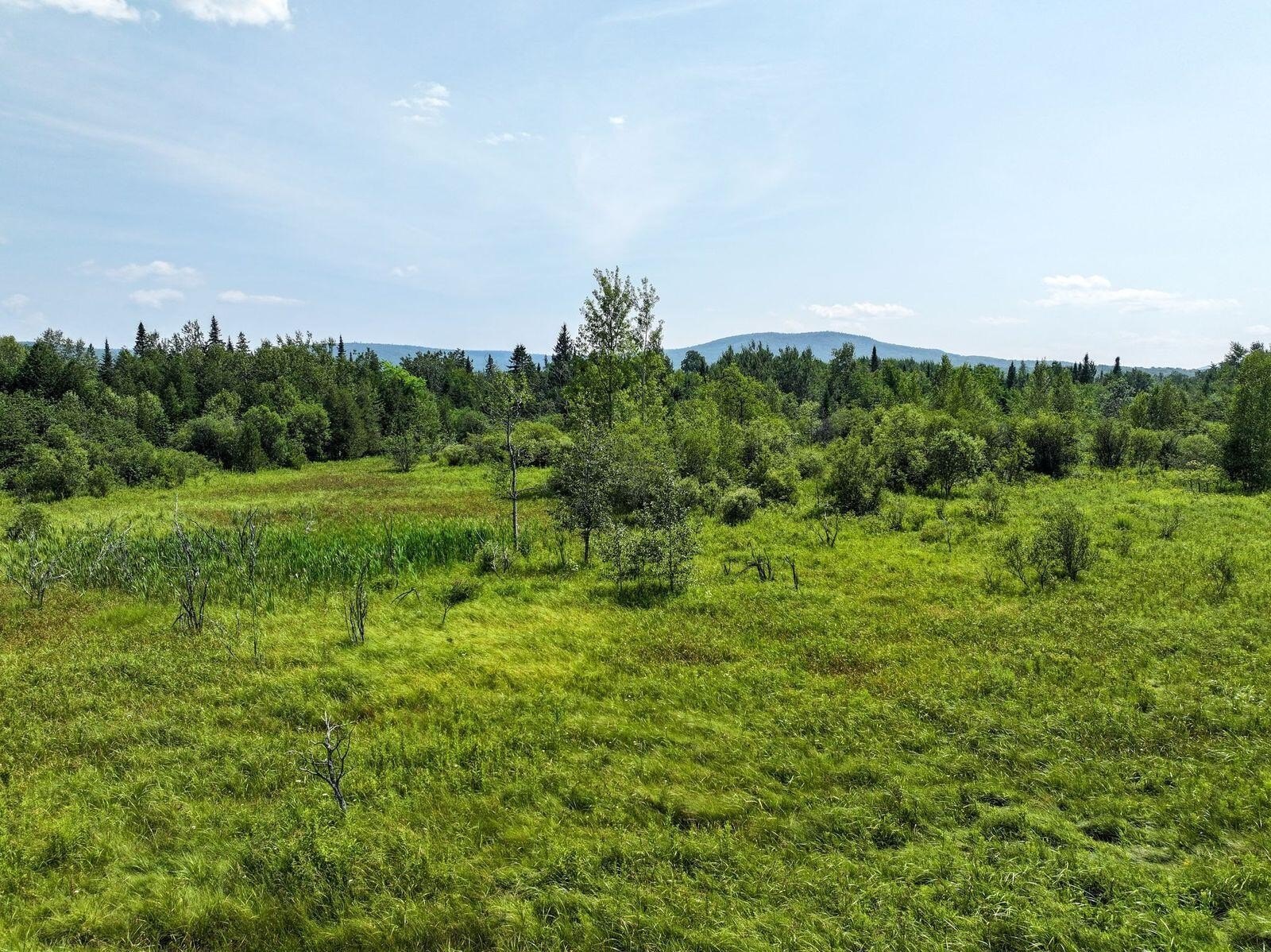 Adirondack Land Near Chazy Lake