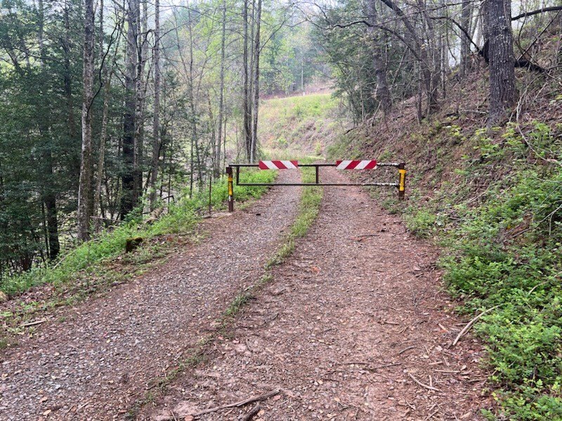 Picture 3