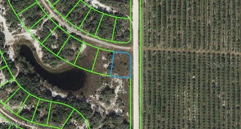Vacant Land in Sun N Lakes