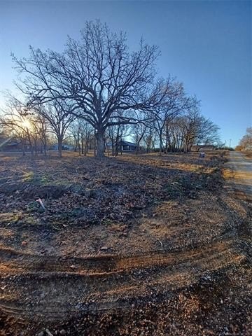 Picture 6