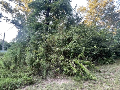 Land in Gilmer, Texas