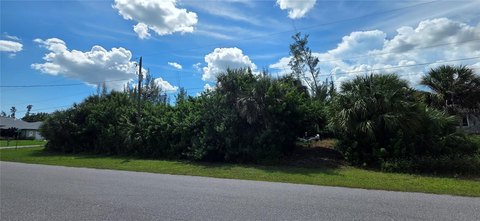Land, PORT CHARLOTTE, FL