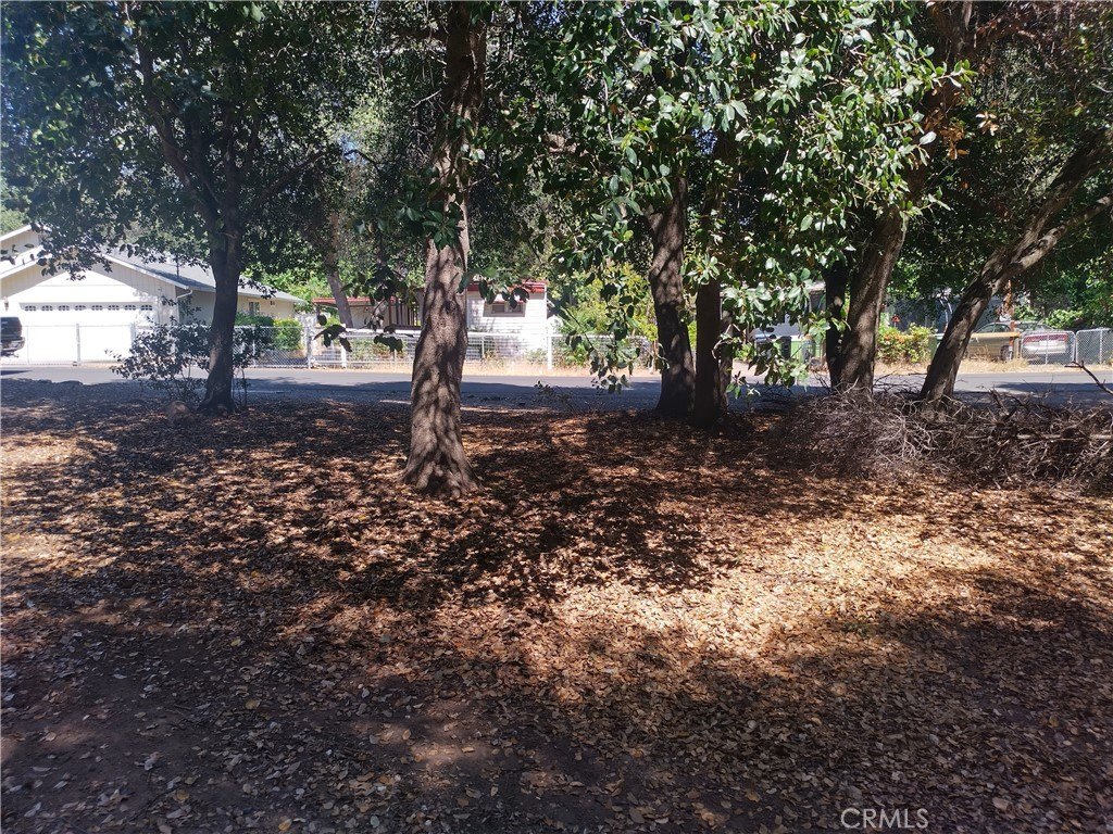 Picture 3