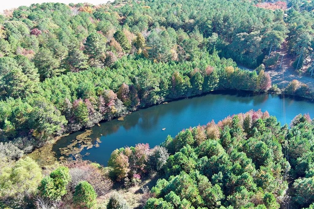 21+ Acre Wooded Lot