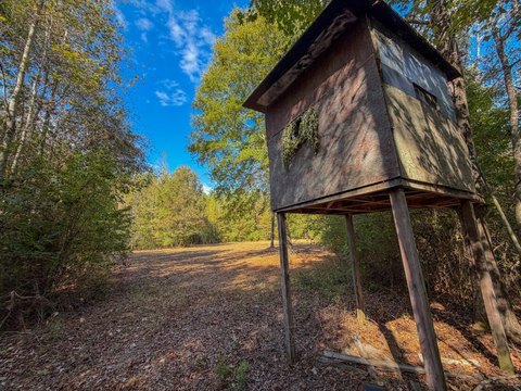 Hunting Land with Multi-Side Road Access