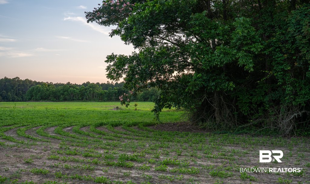Picture 30