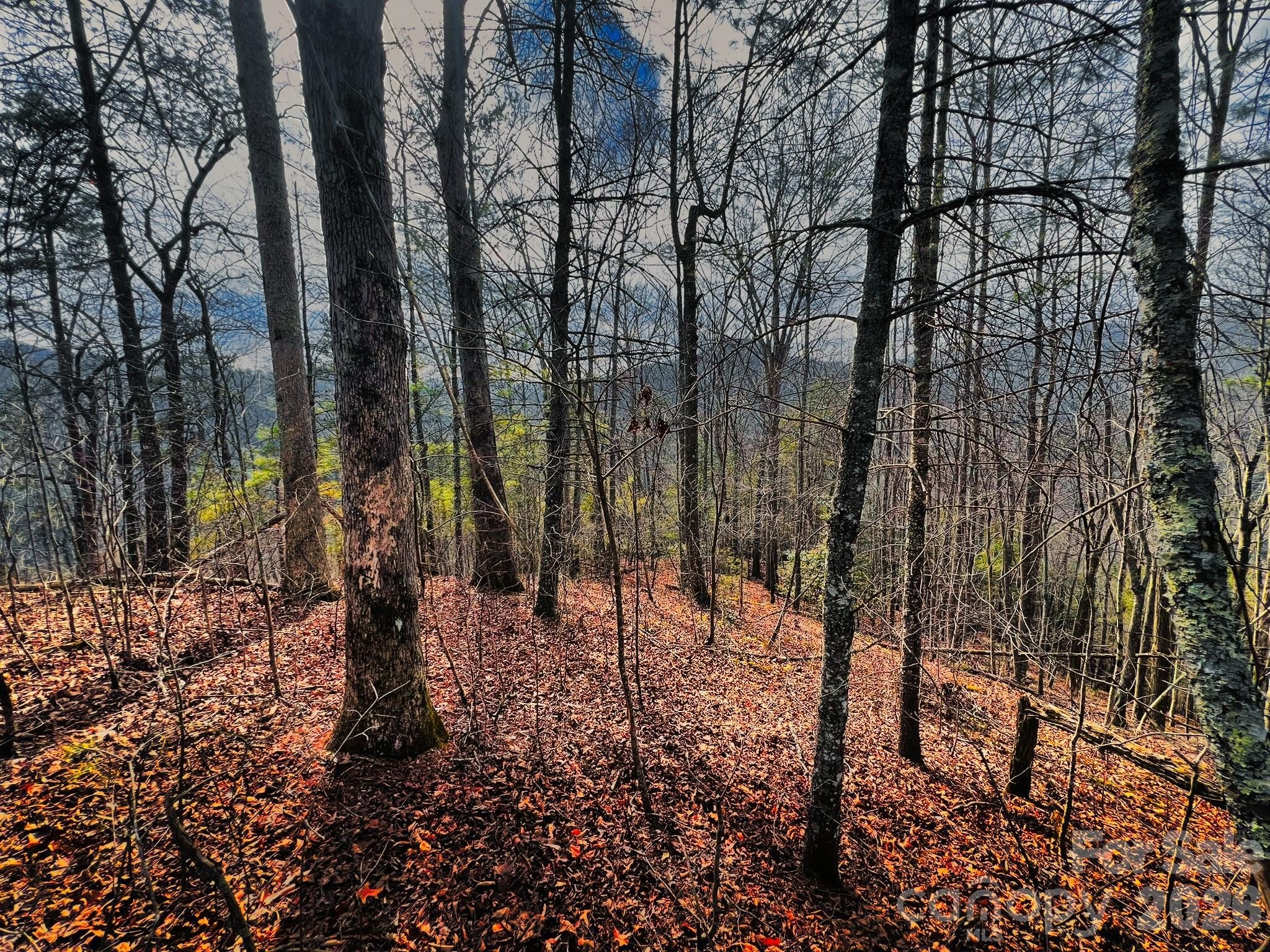 LAND - Marshall, NC