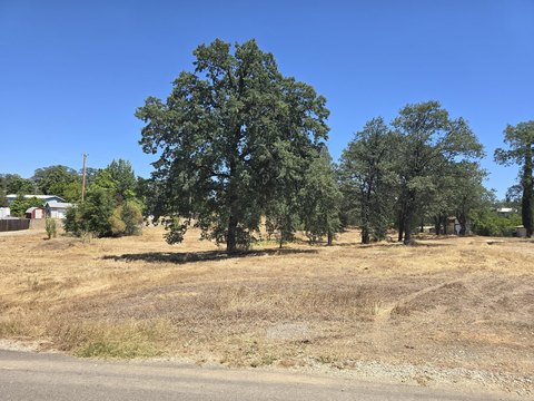 LAND - Shasta Lake, CA