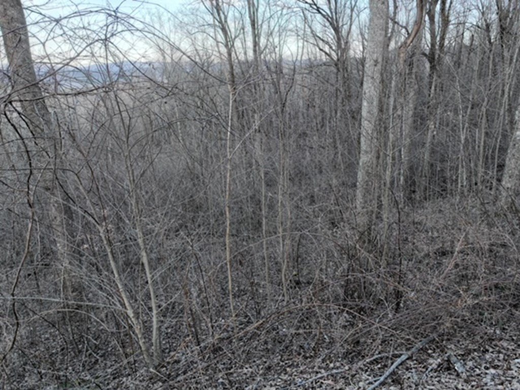 Picture 41
