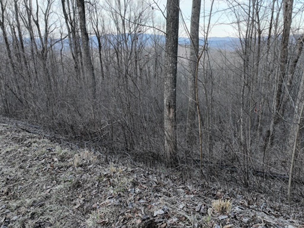 Picture 43