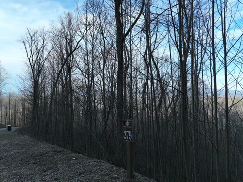 Picture 13
