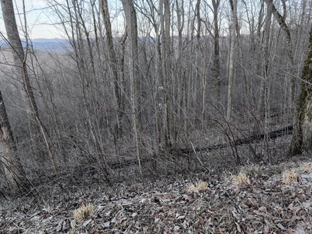 Picture 45