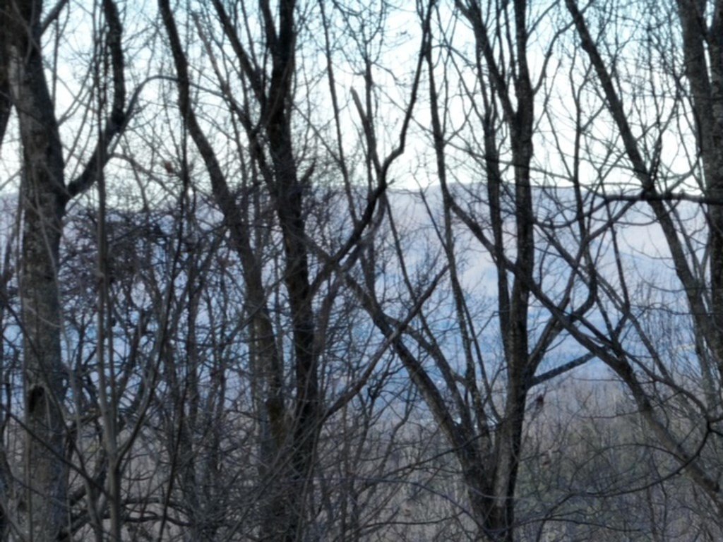 Picture 21