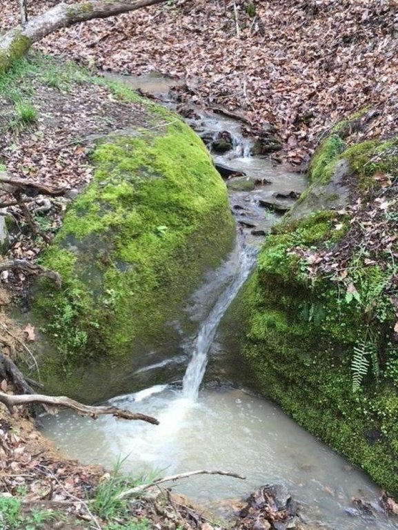 Picture 17