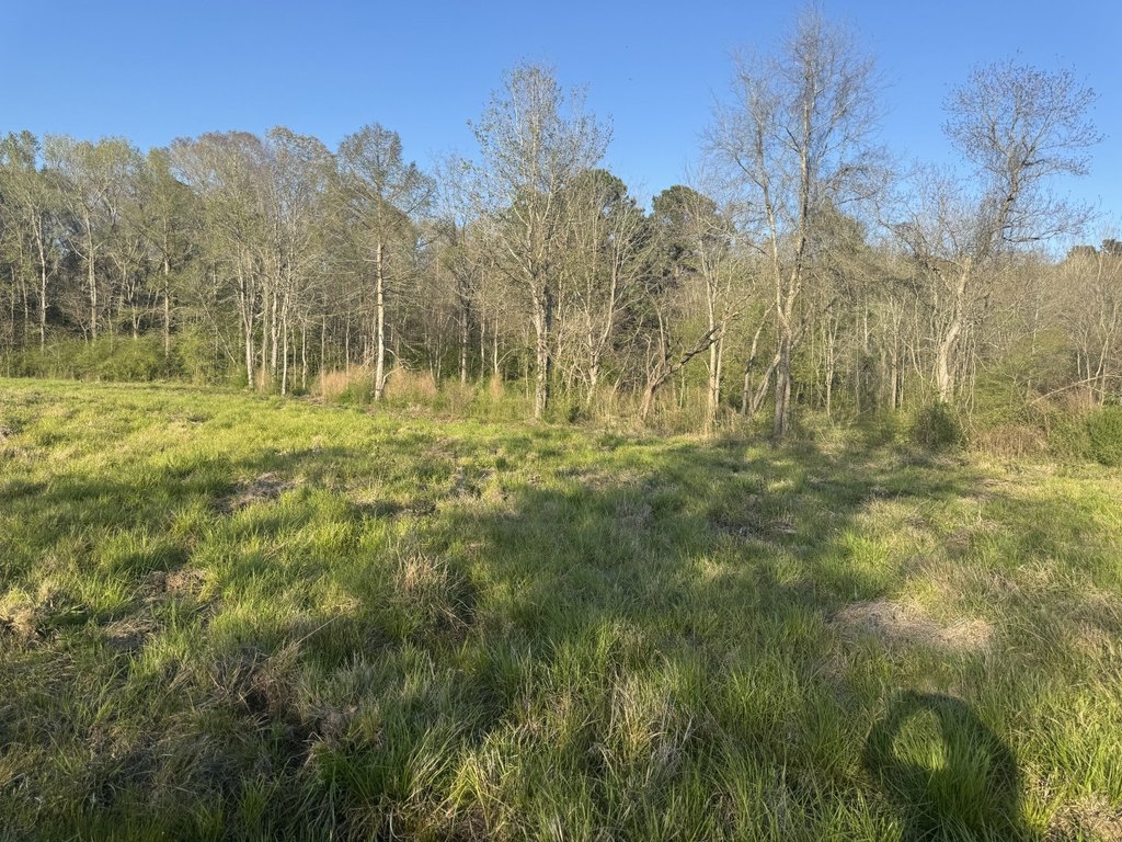 Picture 18