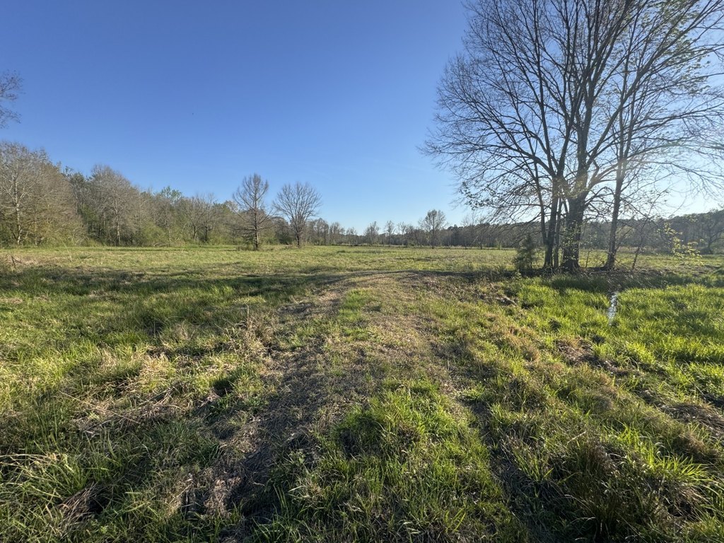 Picture 19