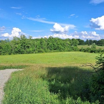 Land with Mountain Views