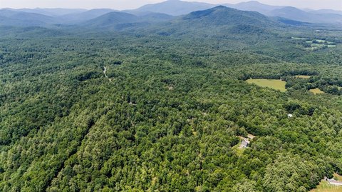 17 Acres in Monroe, VA
