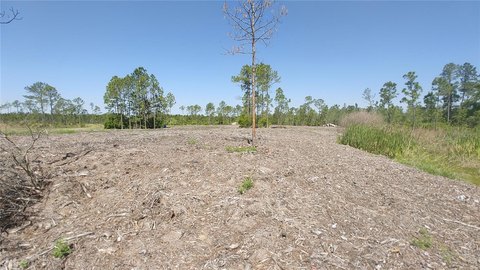 Land, NEW SMYRNA BEACH, FL