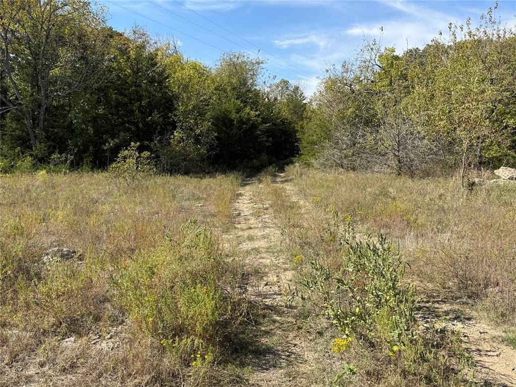 Picture 47