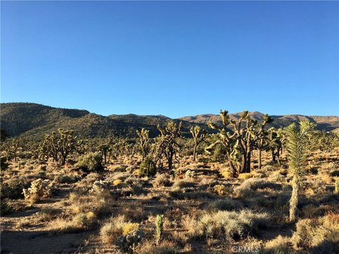Pioneertown Land in Burns Canyon