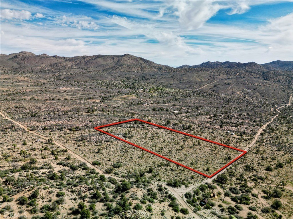 Picture 24
